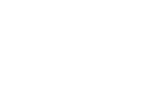 Ford Coloured Logo