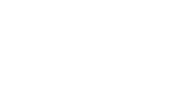 Polstar White Logo